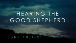 John 10:1-21, Hearing The Good Shepherd