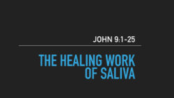 John 9:1-25, The Healing Work of Saliva