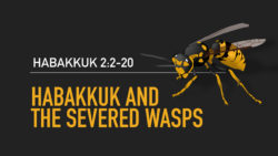 Habakkuk 2:2-20, Habakkuk and the Severed Wasps